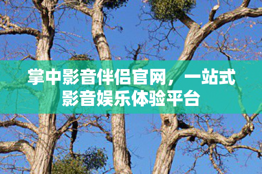 一站式影音娱乐体验平台图片