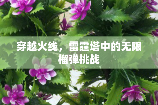 雷霆塔中的无限榴弹挑战图片