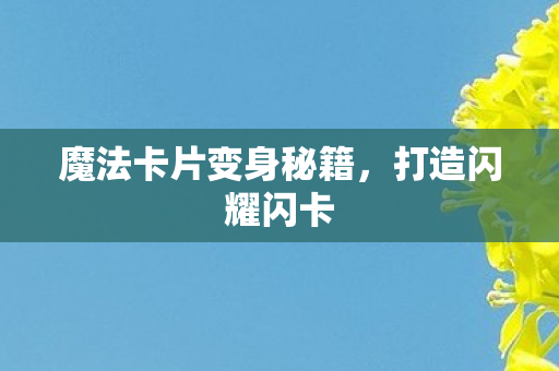 魔法卡片变身秘籍图片