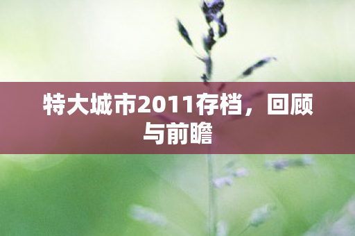 特大城市2011存档图片
