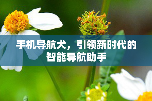 引领新时代的智能导航助手图片