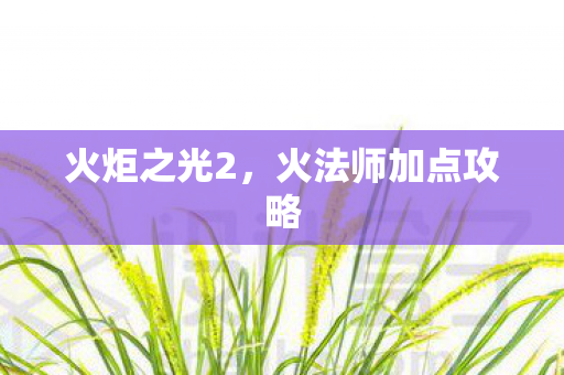 火法师加点攻略图片