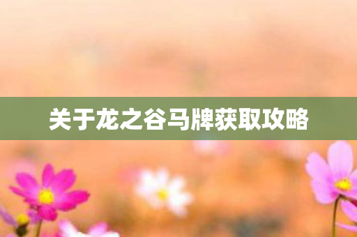 关于龙之谷马牌获取攻略图片