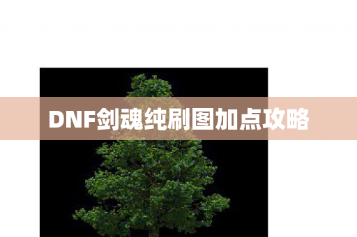 DNF剑魂纯刷图加点攻略图片
