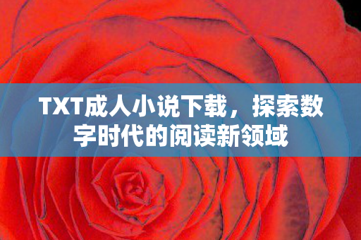 探索数字时代的阅读新领域图片