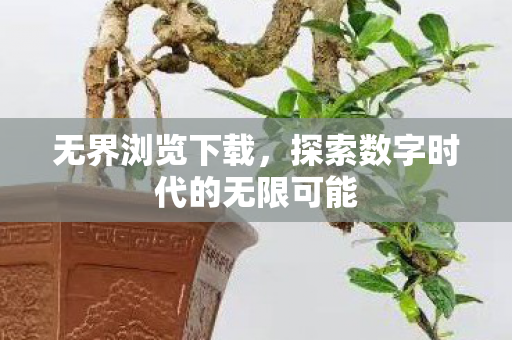 探索数字时代的无限可能图片