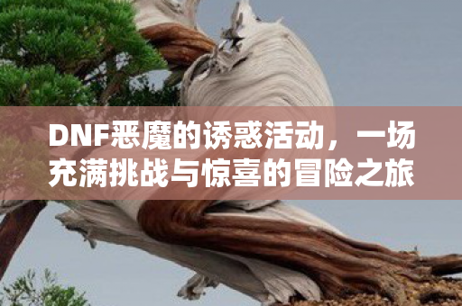 一场充满挑战与惊喜的冒险之旅图片