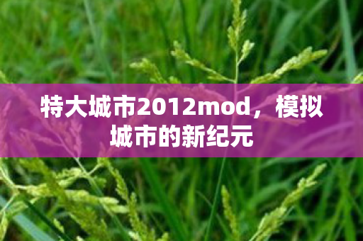 特大城市2012mod图片