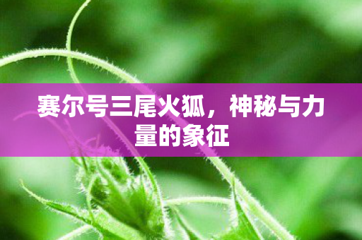 神秘与力量的象征图片