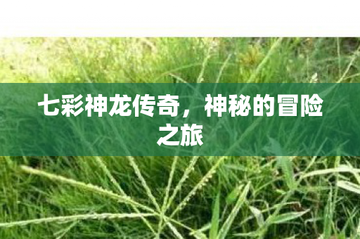 神秘的冒险之旅图片