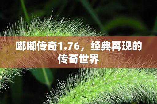 经典再现的传奇世界图片