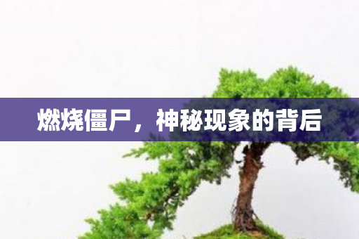 神秘现象的背后图片