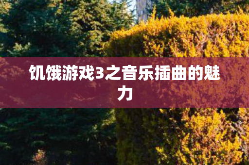 饥饿游戏3之音乐插曲的魅力图片
