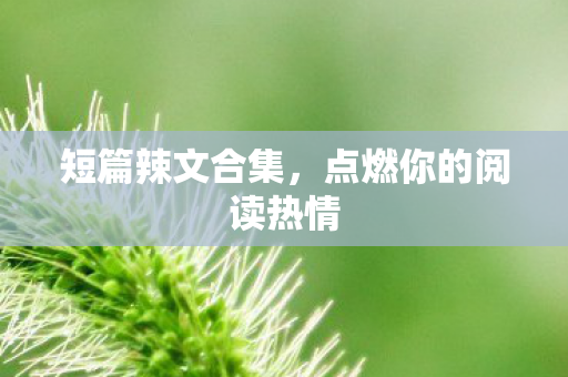 点燃你的阅读热情图片