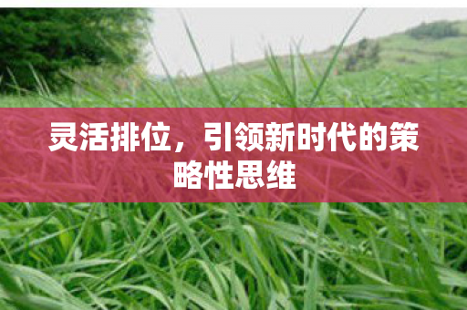 引领新时代的策略性思维图片