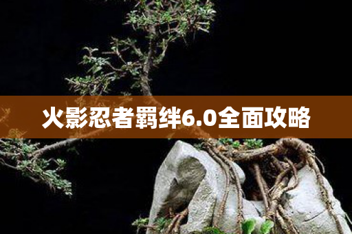 火影忍者羁绊6图片