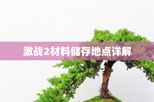 激战2材料储存地点详解图片