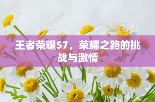 荣耀之路的挑战与激情图片