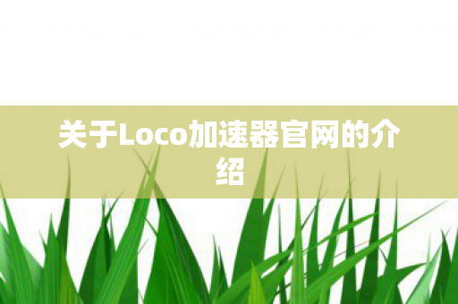 关于Loco加速器官网的介绍图片