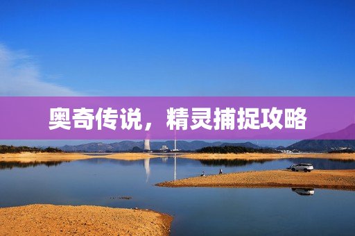 精灵捕捉攻略图片