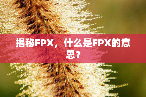 什么是FPX的意思图片