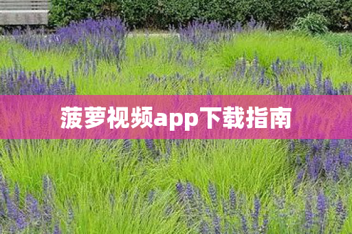 菠萝视频app下载指南图片