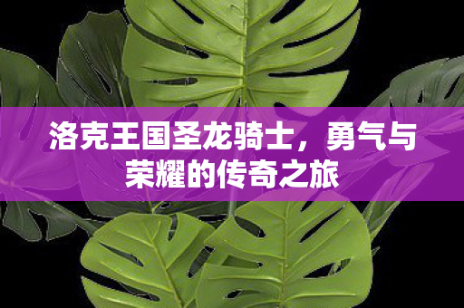 勇气与荣耀的传奇之旅图片