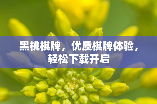 优质棋牌体验图片