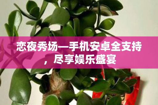 手机安卓全支持图片