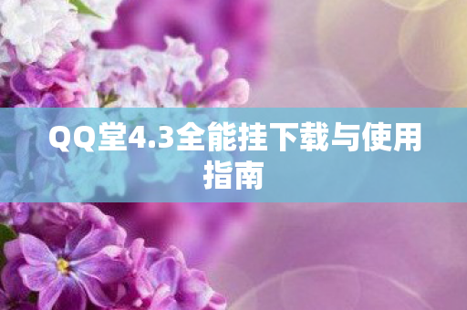 3全能挂下载与使用指南图片