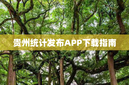 贵州统计发布APP下载指南图片