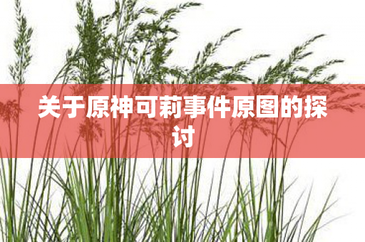 关于原神可莉事件原图的探讨图片