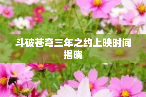 斗破苍穹三年之约上映时间揭晓图片