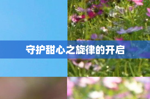 守护甜心之旋律的开启图片