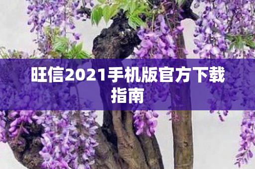 旺信2021手机版官方下载指南图片