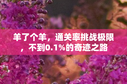 通关率挑战极限图片