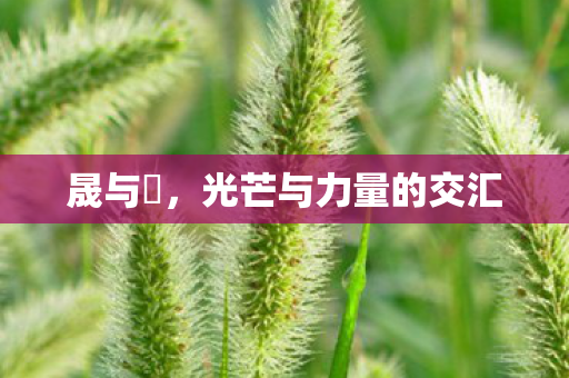 光芒与力量的交汇图片