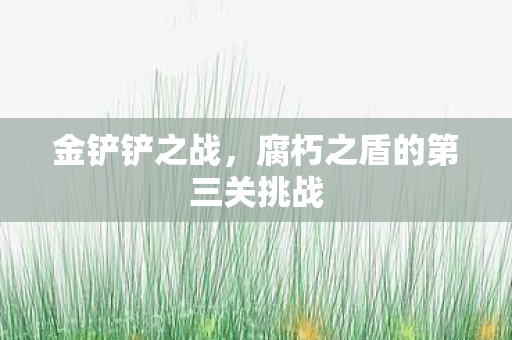 腐朽之盾的第三关挑战图片