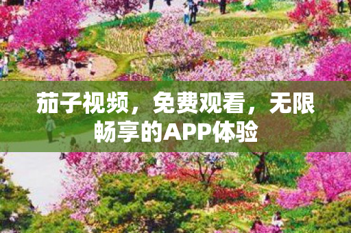 无限畅享的APP体验图片