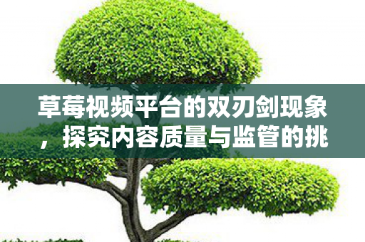 草莓视频平台的双刃剑现象图片