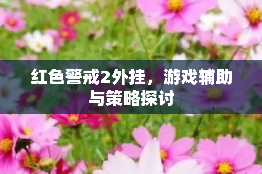 游戏辅助与策略探讨图片
