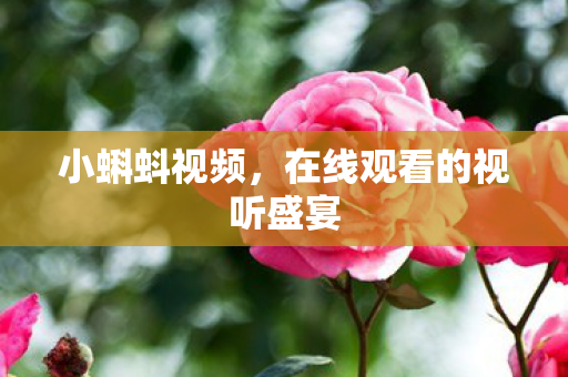 在线观看的视听盛宴图片