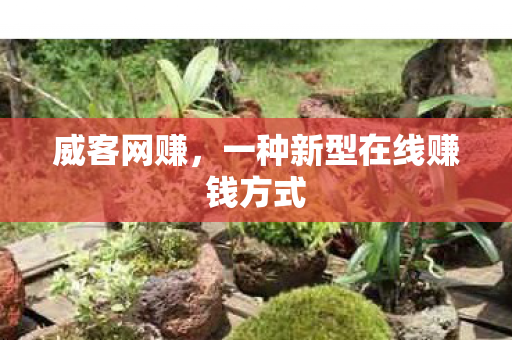 一种新型在线赚钱方式图片