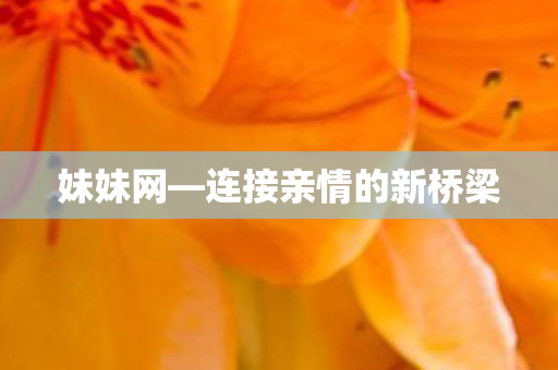 连接亲情的新桥梁图片