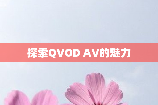 探索QVOD AV的魅力图片