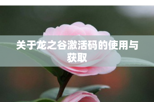 关于龙之谷激活码的使用与获取图片