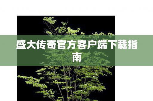 盛大传奇官方客户端下载指南图片