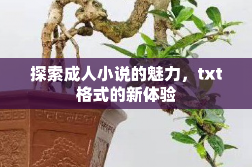 探索成人小说的魅力图片