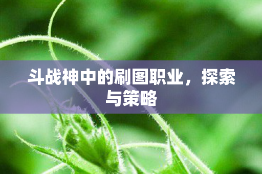 斗战神中的刷图职业图片
