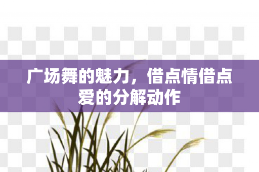 借点情借点爱的分解动作图片